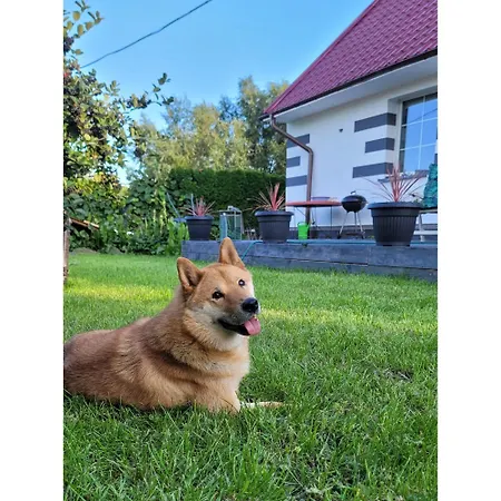 Dom Na Gwarnej Сasa de vacaciones *